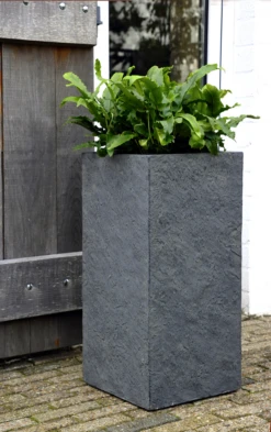 Plantenbak Arizona Cubihi - L28 X B28 X H60cm - Donkergrijs -Plant Verkoop arizona cubihi graphite w28h60 plantenbak 7 4