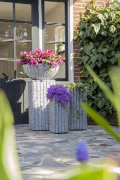 Plantenschaal Arkansas - D45 X H20cm - Lichtgrijs 5 Plantenschaal Arkansas - D45 X H20cm - Lichtgrijs -Plant Verkoop arkansas bowl low washed grey d45h20 bloempot 7 9