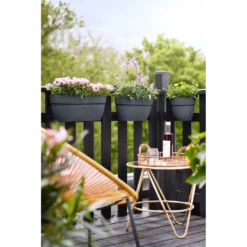 Elho Balkonbak Vibia Campana Easy Hanger Medium - Antraciet -Plant Verkoop balkonbak vibia campana easy hanger medium antraciet balkonbak antraciet 5 1