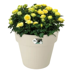 Bloempot Elho Green Basics Top Planter 47cm - Katoen Wit -Plant Verkoop bloempot elho green basics top planter katoen wit bloempot katoen wit 3 1