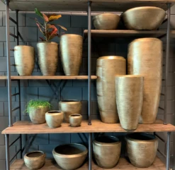 Plantenschaal Kos - D35 X H18cm - Goud -Plant Verkoop bloempot kos serie goud bloempot 3 1