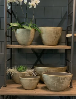 Bloempot Kos Ovaal - L49 X B21 X H37cm - Goud -Plant Verkoop bloempot kos serie ovaal goud bloempot 3 1