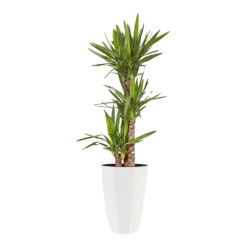 Bloempot Elho Brussels Diamond Rond Hoog 27cm - Wit -Plant Verkoop brussels diamond rond hoog 27cm bloempot wit 6 5