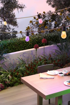 Calex Smart Outdoor Feestverlichting/Partystring - 10M 24V -Plant Verkoop calex smart outdoor feestverlichting partystring 10m 24v 5