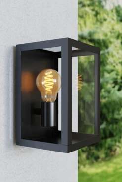 Calex Smart Standaard Led Lamp - 7W 550lm 1800-6500K -Plant Verkoop calex smart standaard led lamp 7w 550lm 1800 6500k 4