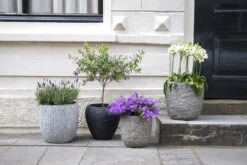 Bloempot Colorado Egg - D25 X H25cm - Grijs -Plant Verkoop colorado egg pot river grey d25h25 bloempot 7 9