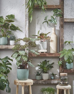 Bloempot Daan - D21.5 X H20.5cm - Wit -Plant Verkoop daan pot rond wit h20 5xd21 5cm bloempot 7 7