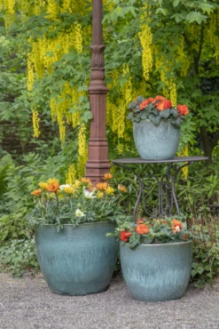 Bloempot Glazed Egg - D38 X H32cm - Groen 5 Bloempot Glazed Egg - D38 X H32cm - Groen -Plant Verkoop glazed egg pot moss green d38h32 bloempot groen 7 6