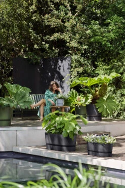 Bloembak Elho Greenville Terrace Long 70cm - Met Wielen - Living Black -Plant Verkoop greenville trough long 70 plantenbak living black 6 13