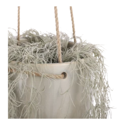 Hangpot Resa - D18,5 X H17cm - Lichtgrijs 7 Hangpot Resa - D18,5 X H17cm - Lichtgrijs -Plant Verkoop hangpot resa d18 5 x h17cm lichtgrijs hangpot 3 1