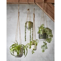 Hangpot Resa - D18,5 X H17cm - Lichtgrijs 9 Hangpot Resa - D18,5 X H17cm - Lichtgrijs -Plant Verkoop hangpot resa d18 5 x h17cm lichtgrijs hangpot 5 1