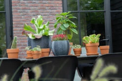 Bloempot Iowa Bullet - D23 X H20.5cm - Donkergrijs -Plant Verkoop iowa bullet graphite d23h205 bloempot 7 9