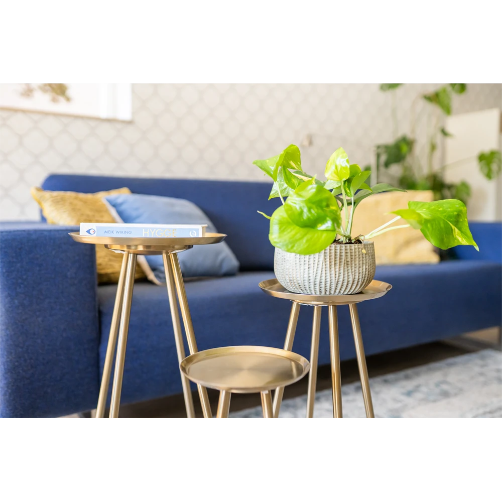 Plantenschaal Felco - D22 X H12cm 2 Plantenschaal Felco - D22 X H12cm - Afbeelding 2