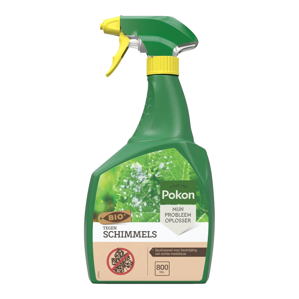 Pokon Bio Tegen Schimmels Spray 800ml - Schimmels 1 Pokon Bio Tegen Schimmels Spray 800ml - Schimmels