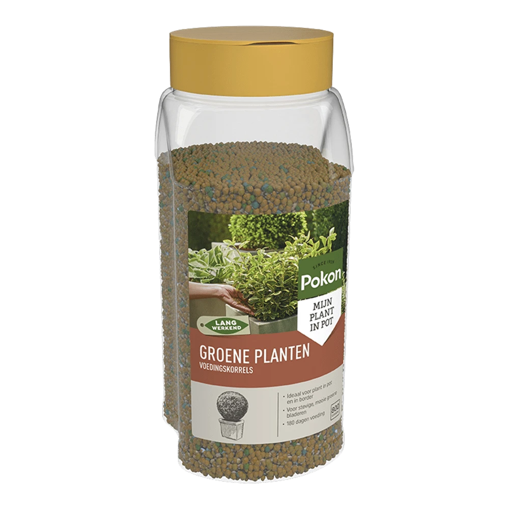 Pokon Groene Planten Voedingskorrels 800g - Kamerplanten Voeding 1 Pokon Groene Planten Voedingskorrels 800g - Kamerplanten Voeding