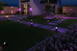 Calex Smart Outdoor Ledstrip RGB + White 5M 7 Calex Smart Outdoor Ledstrip RGB + White 5M -Plant Verkoop smart outdoor ledstrip rgb white 5m 4