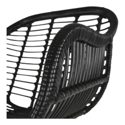 Stoel Moda Zwart -Plant Verkoop stoel moda zwart 4