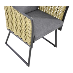 Stoel Solamente -Plant Verkoop stoel solamente 3