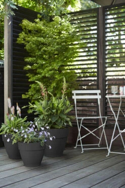 Bloempot Elho Vibia Campana Rond 35cm - Antraciet -Plant Verkoop vibia campana rond 35 bloempot antraciet 7 11