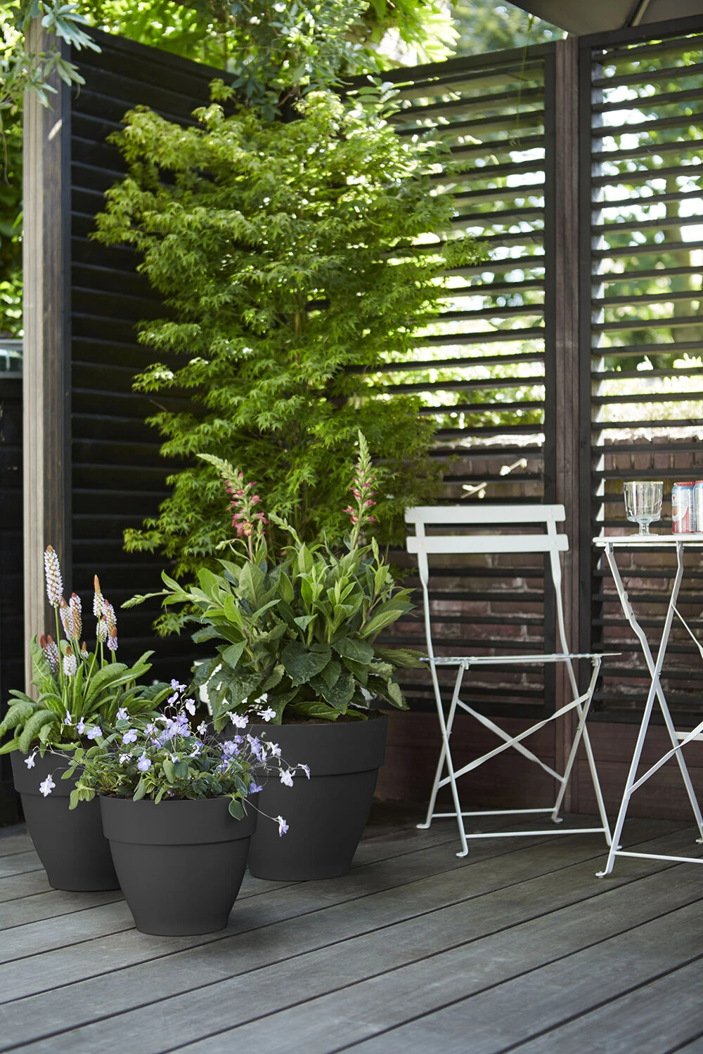 Plant Verkoop -Plant Verkoop vibia campana rond 35 bloempot antraciet 7 11