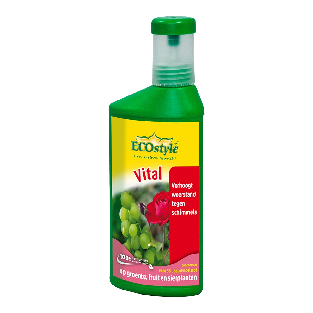 EcoStyle Vital Concentraat 250ml - Schimmels 1 EcoStyle Vital Concentraat 250ml - Schimmels