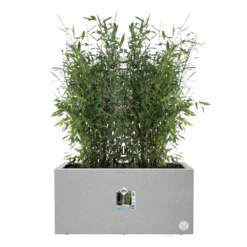 Elho Vivo Next Lang Wielen 80cm - Warm Grijs -Plant Verkoop vivo matt lang wielen 80cm warm grijs 5 1