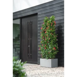 Elho Vivo Next Lang Wielen 80cm - Warm Grijs -Plant Verkoop vivo matt lang wielen 80cm warm grijs 6 1