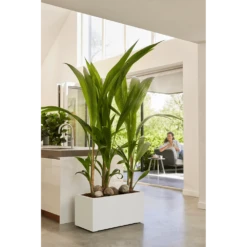 Elho Vivo Next Lang Wielen 60cm - Wit -Plant Verkoop vivo next lang wielen 60cm wit 7 1