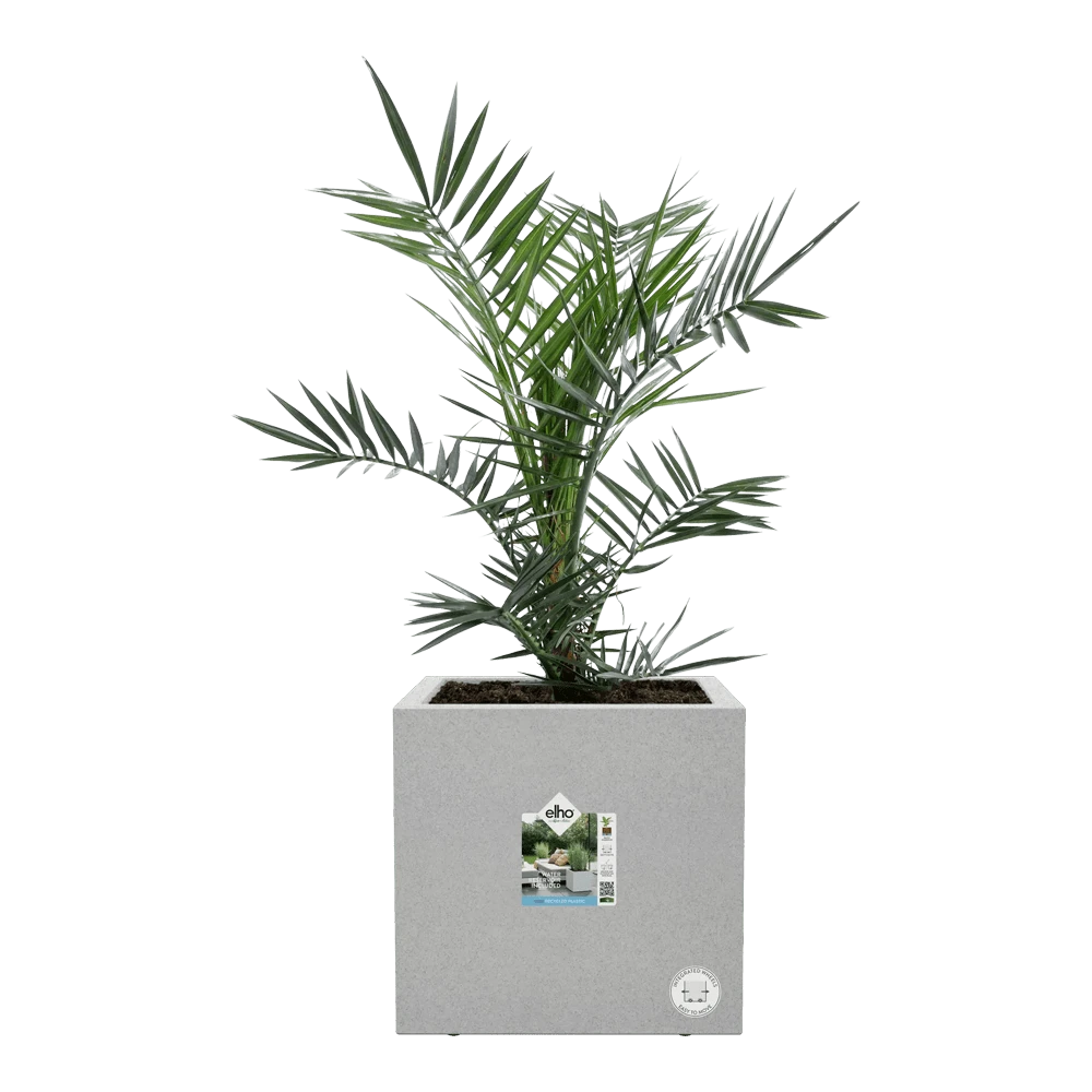 Elho Vivo Next Vierkant Wielen 30cm - Warm Grijs 6 Elho Vivo Next Vierkant Wielen 30cm - Warm Grijs - Afbeelding 6