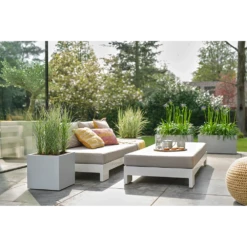 Elho Vivo Next Vierkant Wielen 30cm - Warm Grijs 13 Elho Vivo Next Vierkant Wielen 30cm - Warm Grijs -Plant Verkoop vivo next vierkant wielen 30cm warm grijs 7 1