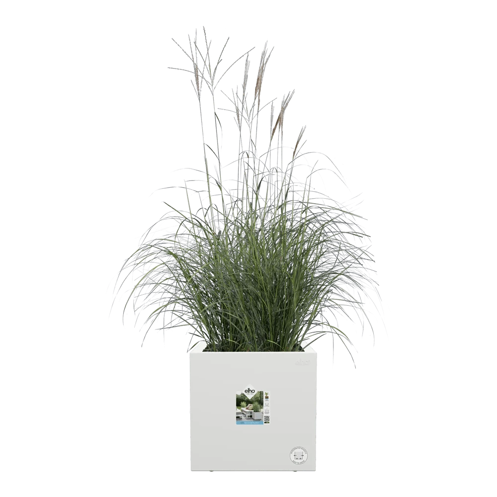 Elho Vivo Next Vierkant Wielen 30cm - Wit 5 Elho Vivo Next Vierkant Wielen 30cm - Wit - Afbeelding 5