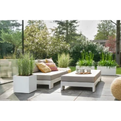 Elho Vivo Next Vierkant Wielen 40cm - Wit -Plant Verkoop vivo next vierkant wielen 40cm wit 7 1